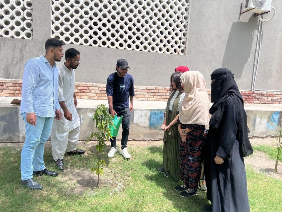 Plantation Drive
